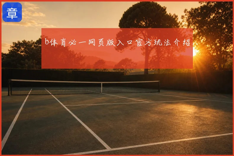 b体育必一网页版入口官方玩法介绍